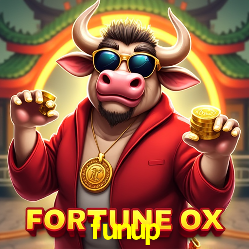 Experiência VIP funup